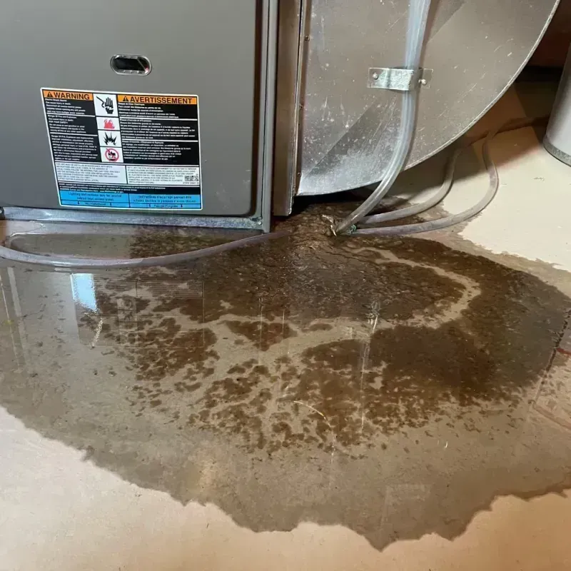 Appliance Leak Cleanup in Saint Matthews, KY